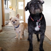 User avatar for James Kim