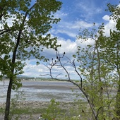 User avatar for Céline Le Blanc