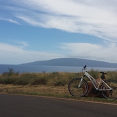 User avatar for Ashley Sims