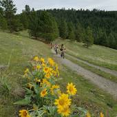 User avatar for Julie Huck