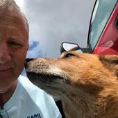 User avatar for Dale Geiger