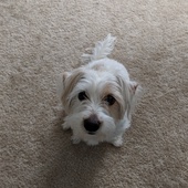 User avatar for Angelina Jones