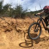 User avatar for Lauren Jacobson