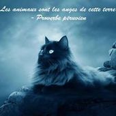 User avatar for Chantal Guitard