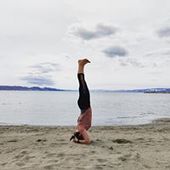 User avatar for Lysh Brunsch