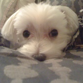 User avatar for Jim Maloney