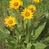 User avatar for Kim Allen