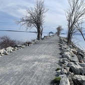 User avatar for Jeremy Young