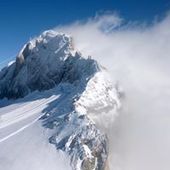 User avatar for Wendy Parsons