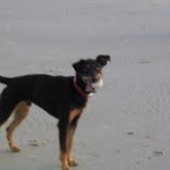 User avatar for Lynda Davies