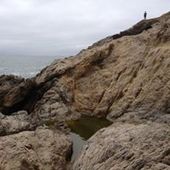 User avatar for Ian Terry