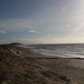 User avatar for David Maidment