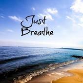 User avatar for Rona W