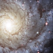 User avatar for Jim Mc Lean