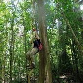 User avatar for Jeremie Tremblay