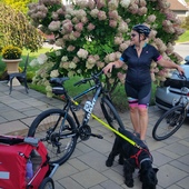 User avatar for Svetlana Doylidova