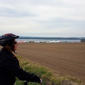 User avatar for Véronique Hébert