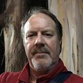 User avatar for Brad Nelson