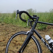 User avatar for Rob Ruitenbeek