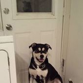 User avatar for Phil Forest