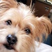 User avatar for Dorus Kessler