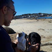 User avatar for Alan Beard