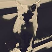 User avatar for Jamal Rusk