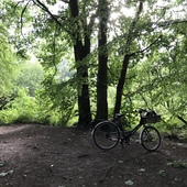 User avatar for Denise Swanson