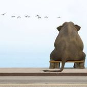 User avatar for Henk Herrewegen