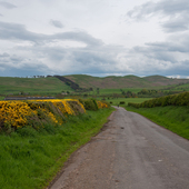 User avatar for Barrie Webb