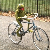 User avatar for Eva Calkhoven