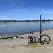 User avatar for Mary Bresee