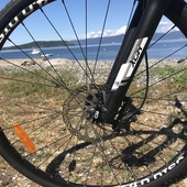 User avatar for Carmel Mc Grath