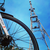 User avatar for Tania Bromley