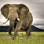 User avatar for Etqt deettq