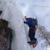 User avatar for Bill Werling