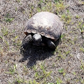 User avatar for Kevin Risner