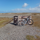 User avatar for Steve Runnacles