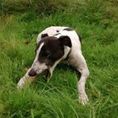 User avatar for Georgina Blair