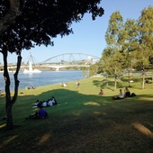 User avatar for Bronwyn Platz