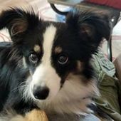 User avatar for Rich Engler