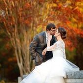 User avatar for Dixie Newsome