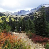 User avatar for Serena Lisney