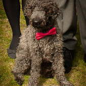 User avatar for Carole De Couto