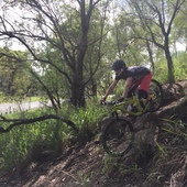 User avatar for Di Mayberry