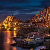 User avatar for fiona campbell