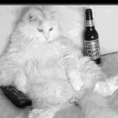 User avatar for Claire Burke