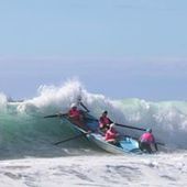 User avatar for Bastien Wallace