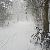 User avatar for Jane Ferguson