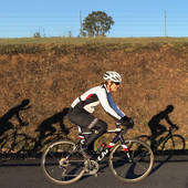 User avatar for Cathy McDonald